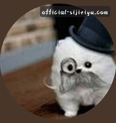 陈静